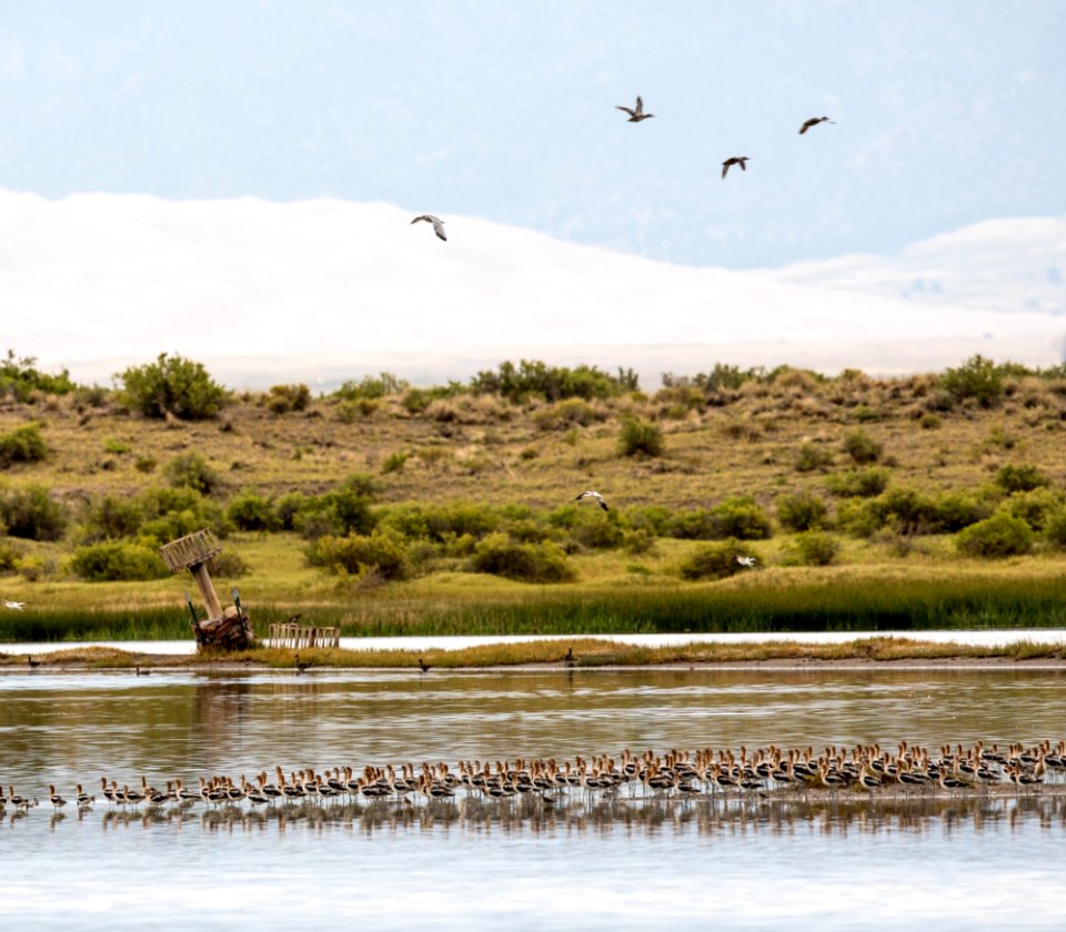 Blanca Wetlands Recreation Area