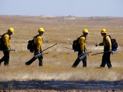 Wildland Fire Training photo