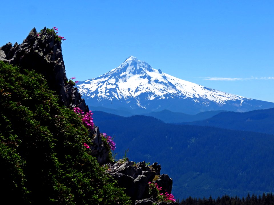 Mt. Hood from Larch Mountain in Oregon