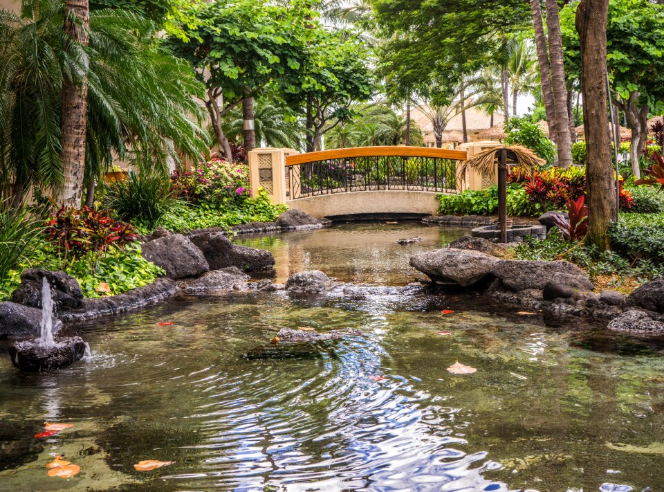 Outdoors nature water resort