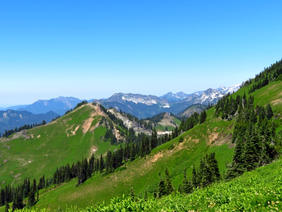 Tatoosh Peak Trail in WA