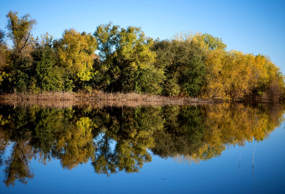 Cosumnes River Preserve