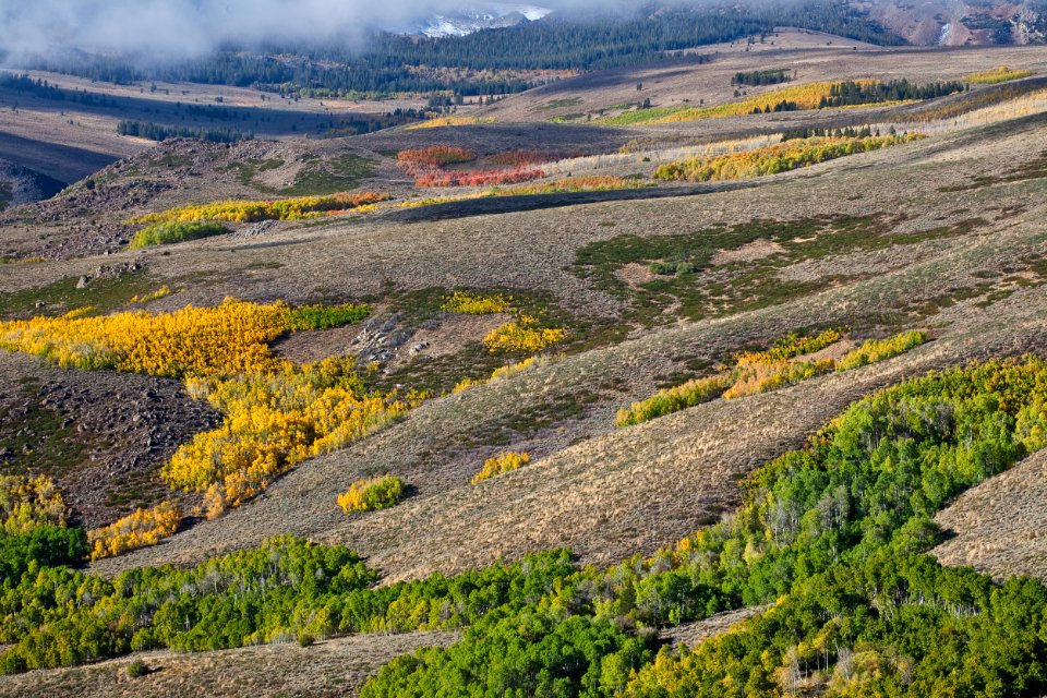 Conway Summit Area of Critical Environmental Concern