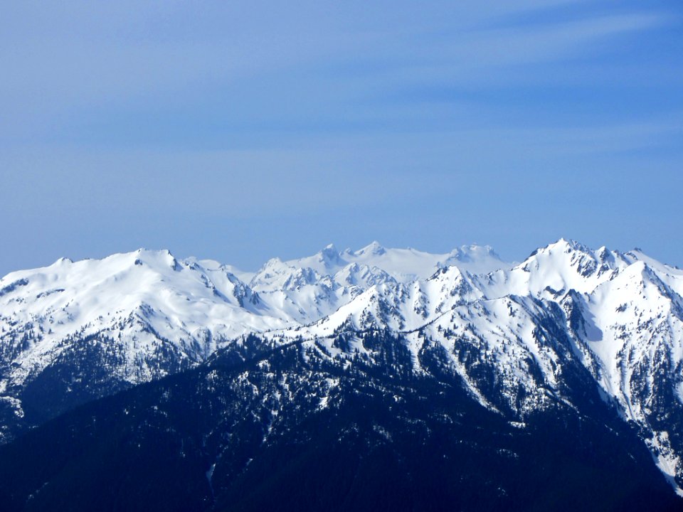 Hurricane Ridge at Olympic NP in WA
