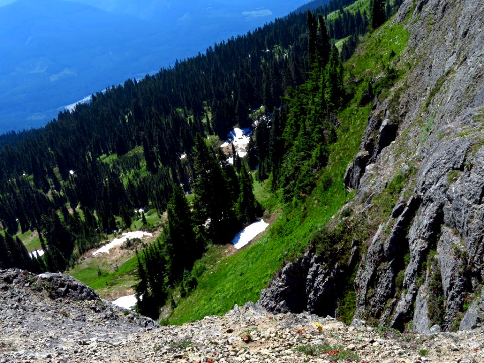 Tatoosh Peak Trail in WA