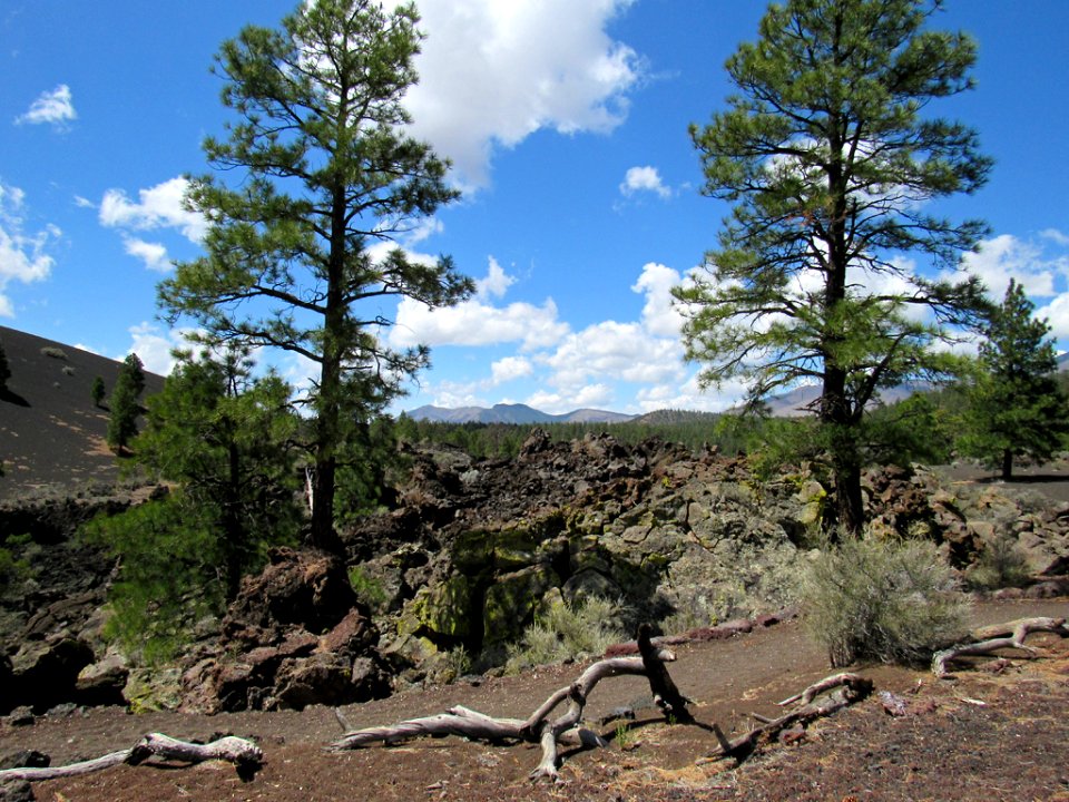 Sunset Crater Volcano NM in Arizona
