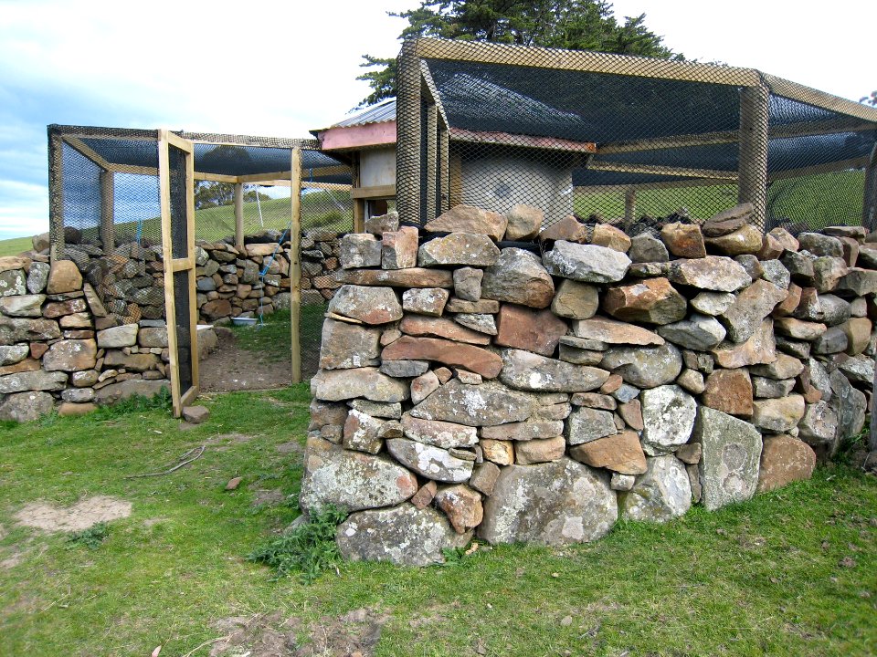 Deluxe Chicken Coop