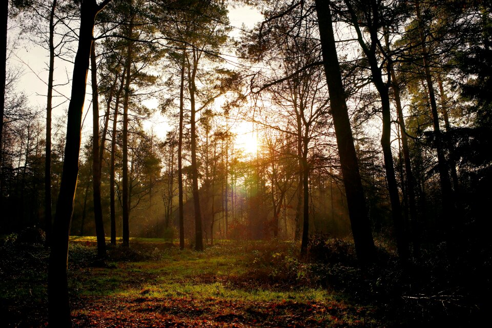Backlighting incidence of light january