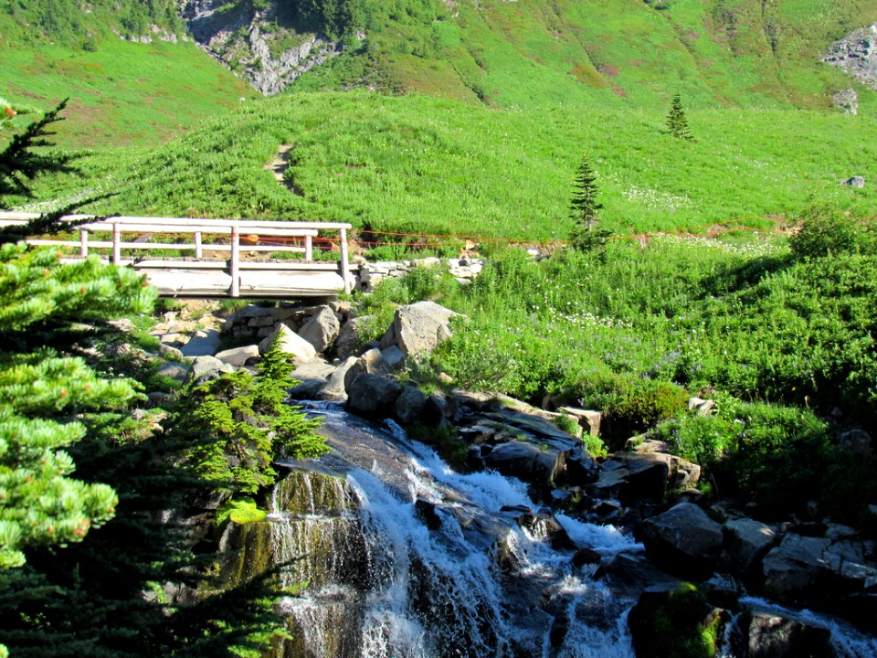 Waterfall at Skyline Trail at Mt. Rainier NP in WA