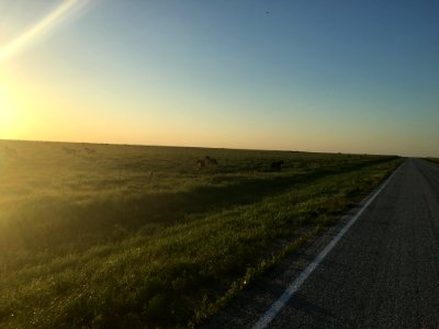 Wild Horses in Kansas Long Term Holding on XCountry Bike Trip in BLM New Mexico