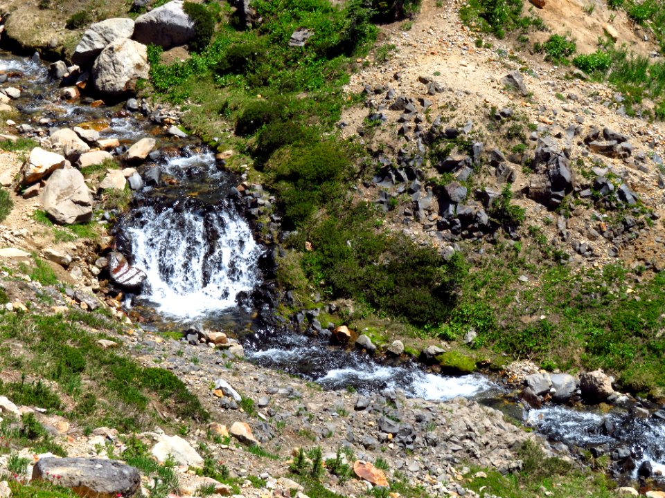 Skyline Trail at Mt. Rainier NP in WA