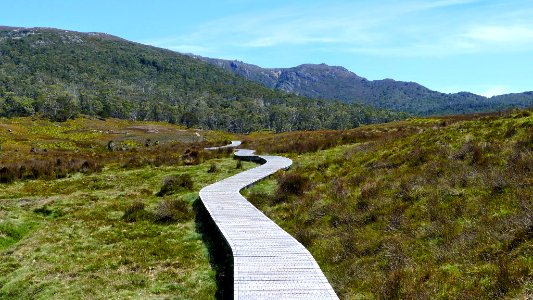 Tasmania, Australia (3) photo