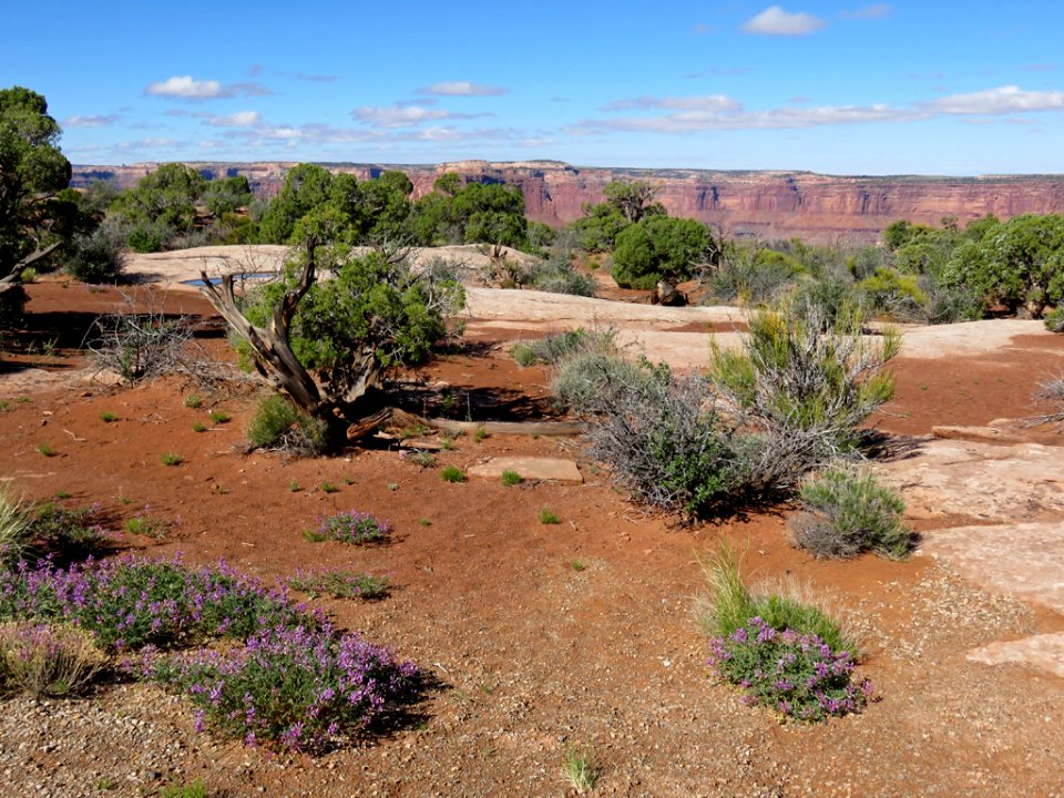 Dead Horse Point SP in UT
