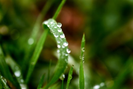 My first steps with the sigma 105mm macro lens