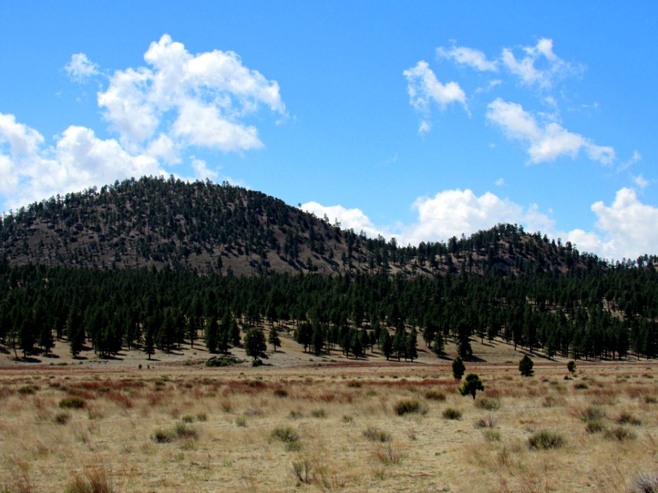 Sunset Crater Volcano NM in Arizona