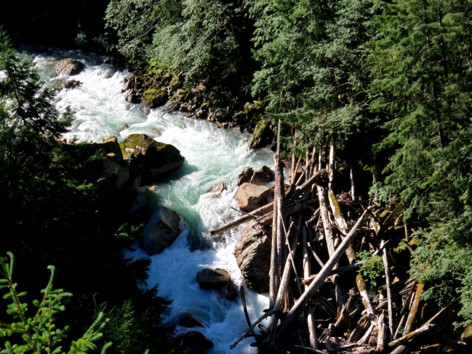 Nooksack River at Mt. Baker-Snoqualmie NF in WA