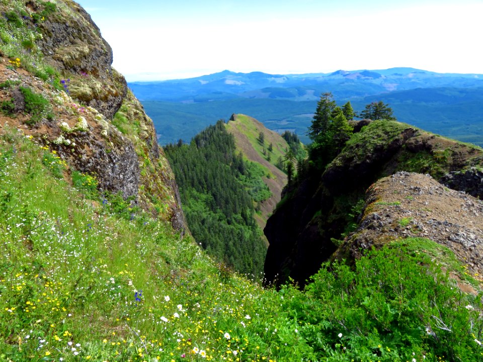 Saddle Mountain Trail in OR