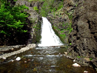 Dog Creek Falls Trail in WA photo