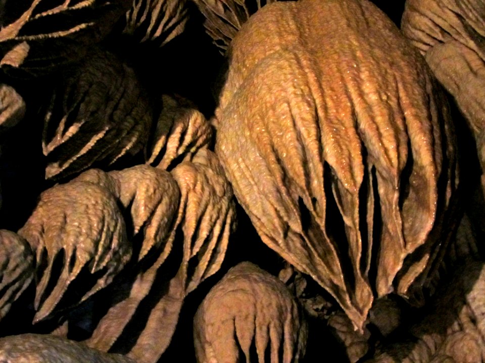 Oregon Caves NM