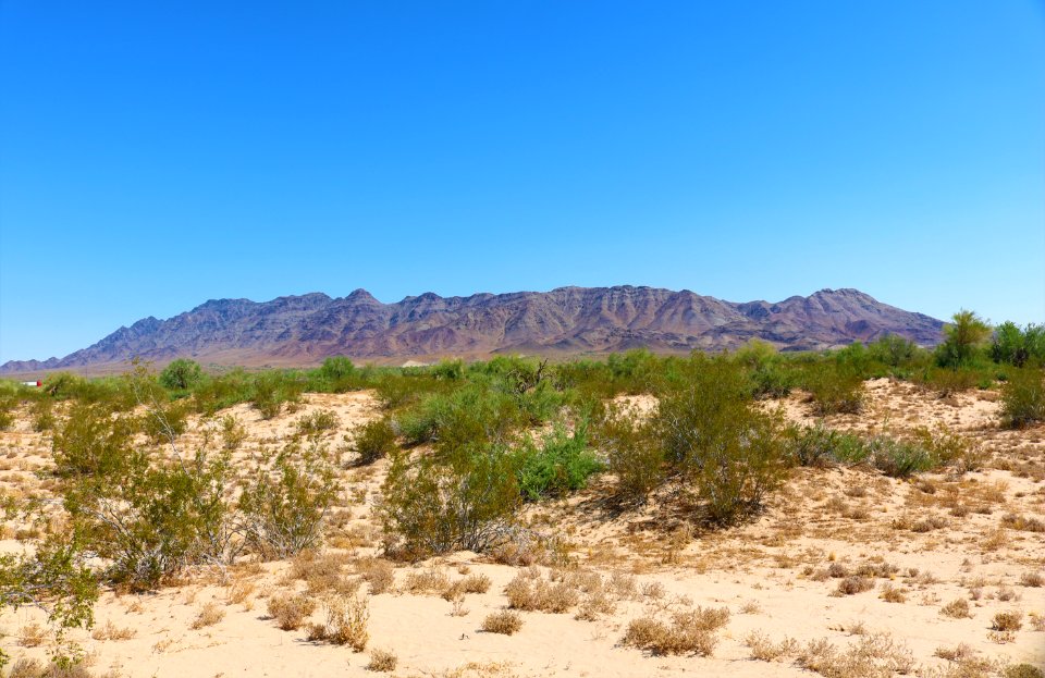 Desert Lily Preserve ACEC, Palm Springs Field Office