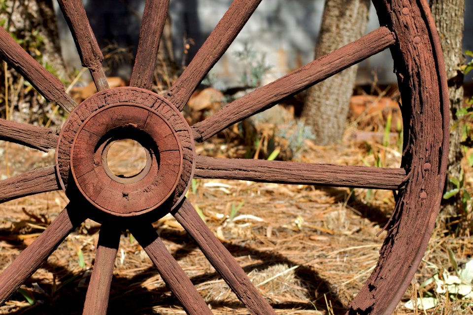 Keep Dem Wagons Rollin'