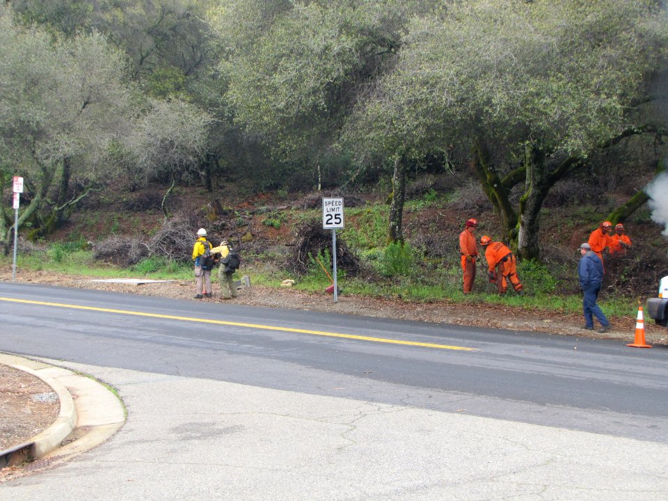 Controlled Burn near Pine Hill Preserve