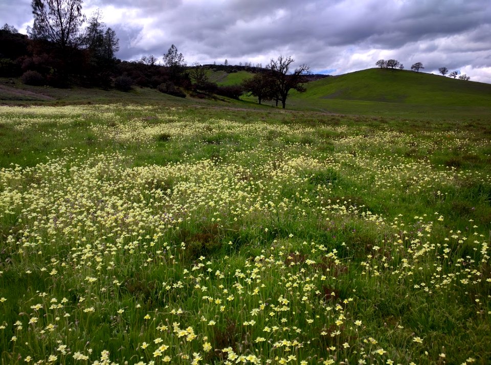 Berryessa Snow Mountain National Monument Dedication Celebration