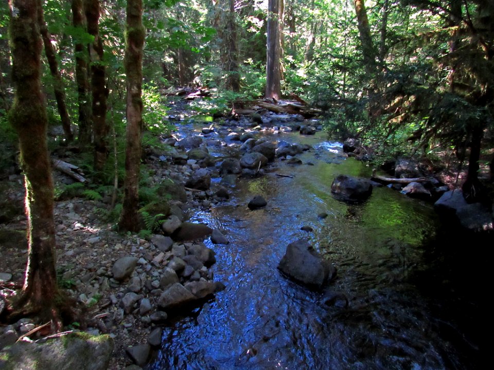 Falls Creek Falls Trail at Gifford Pinchot NF in WA