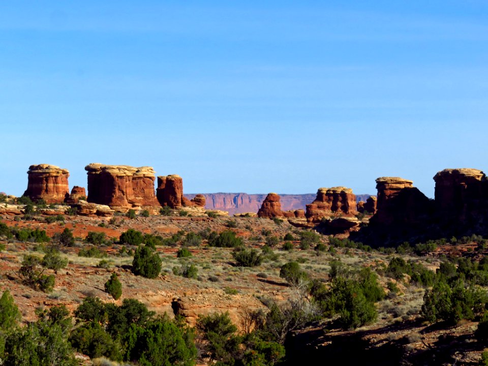 Needles District at Canyonlands NP in Utah