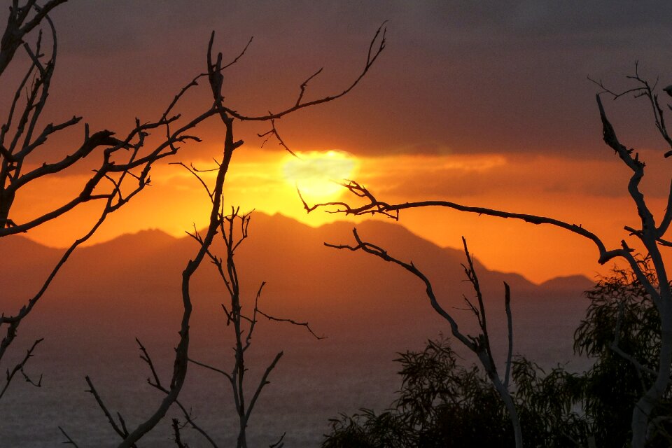 Branches mountains ocean
