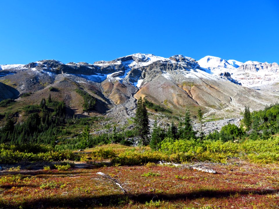 Glacier Basin Trail at Mt. Rainier NP in WA