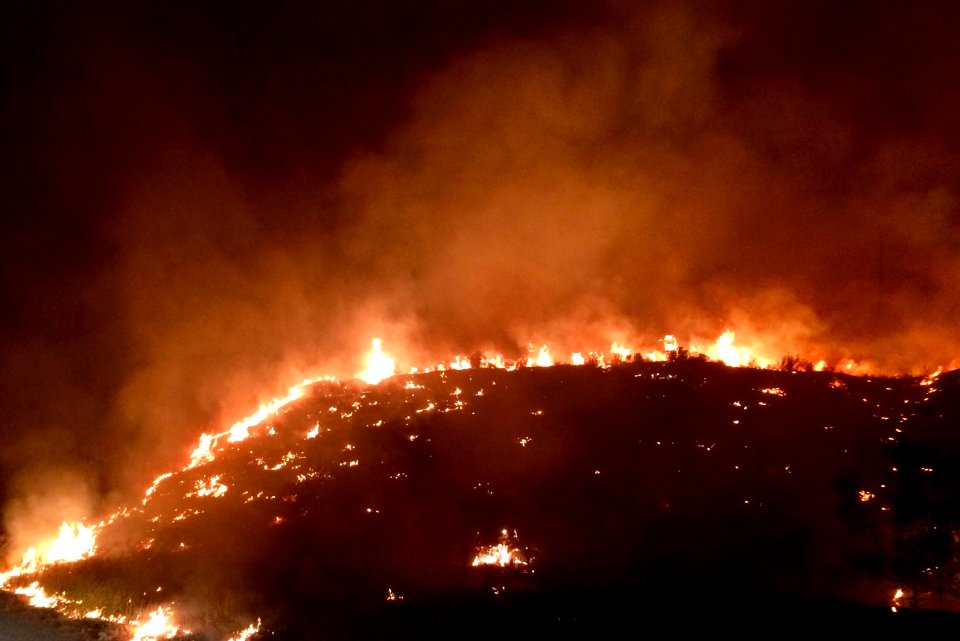 Manzanita Fire, June 2017