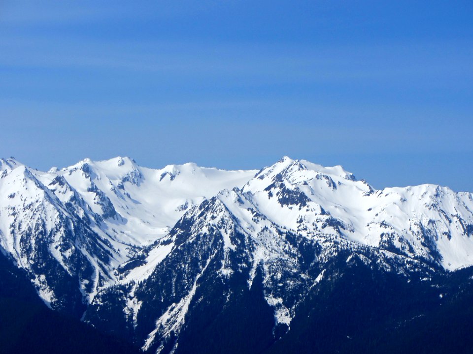 Hurricane Ridge at Olympic NP in WA