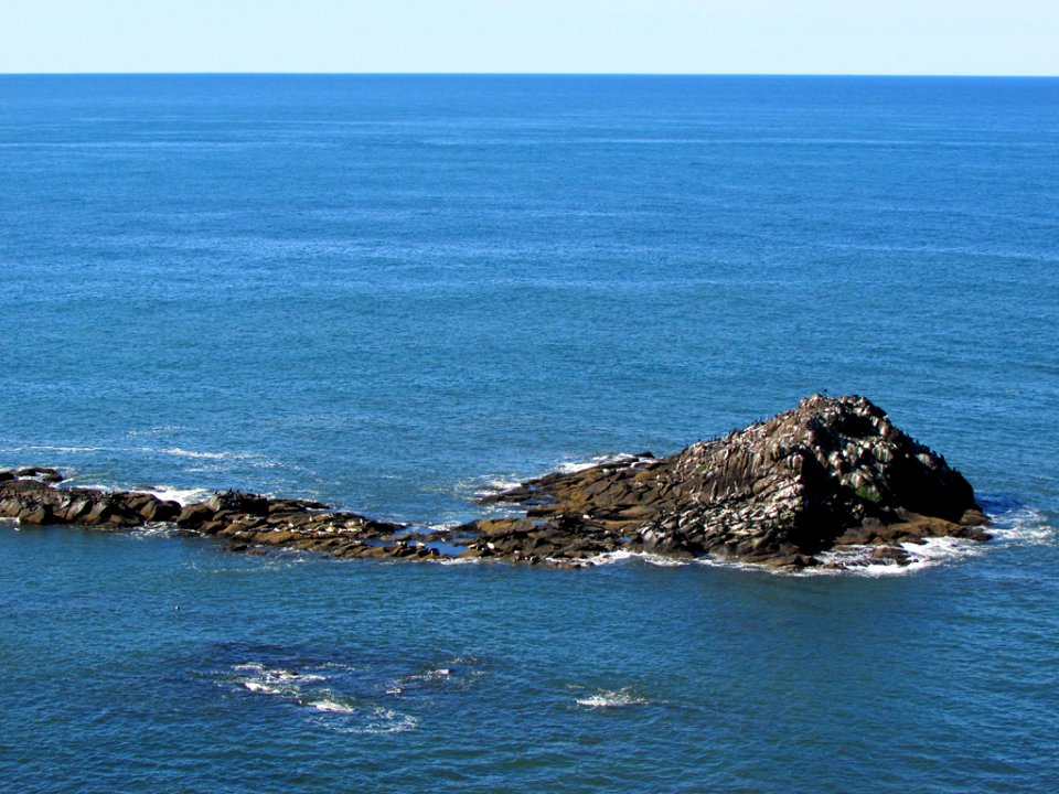 Yaquina Head in OR