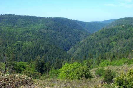 South Yuba Wild and Scenic River Recreation Area