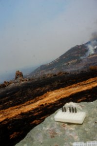 Detwiler Fire in Mother Lode Field Office photo