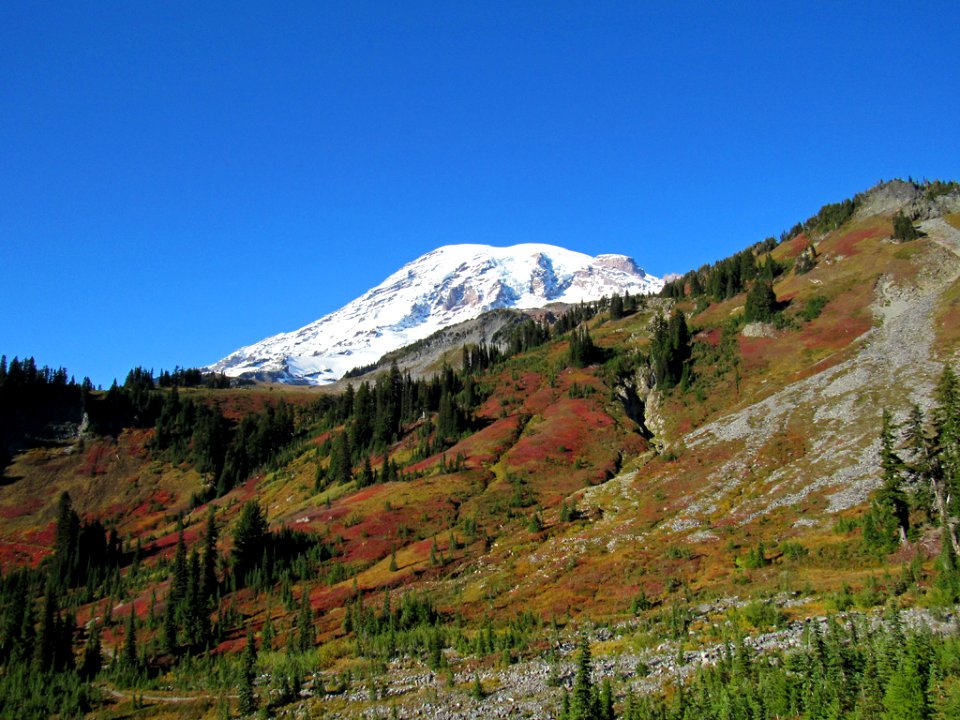 Autumn at Skyline Trail at Mt. Rainier NP in WA