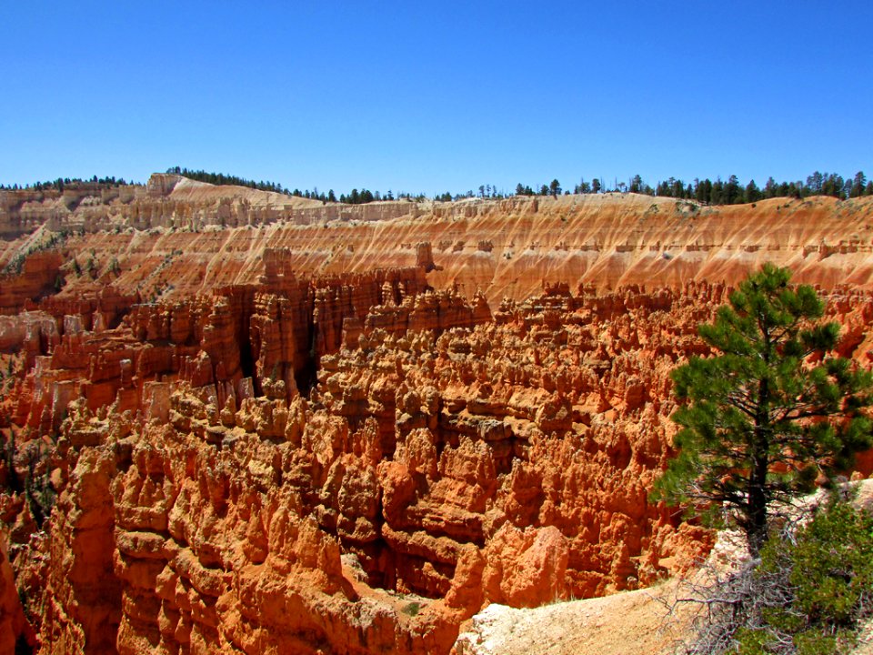 Bryce Canyon NP in Utah