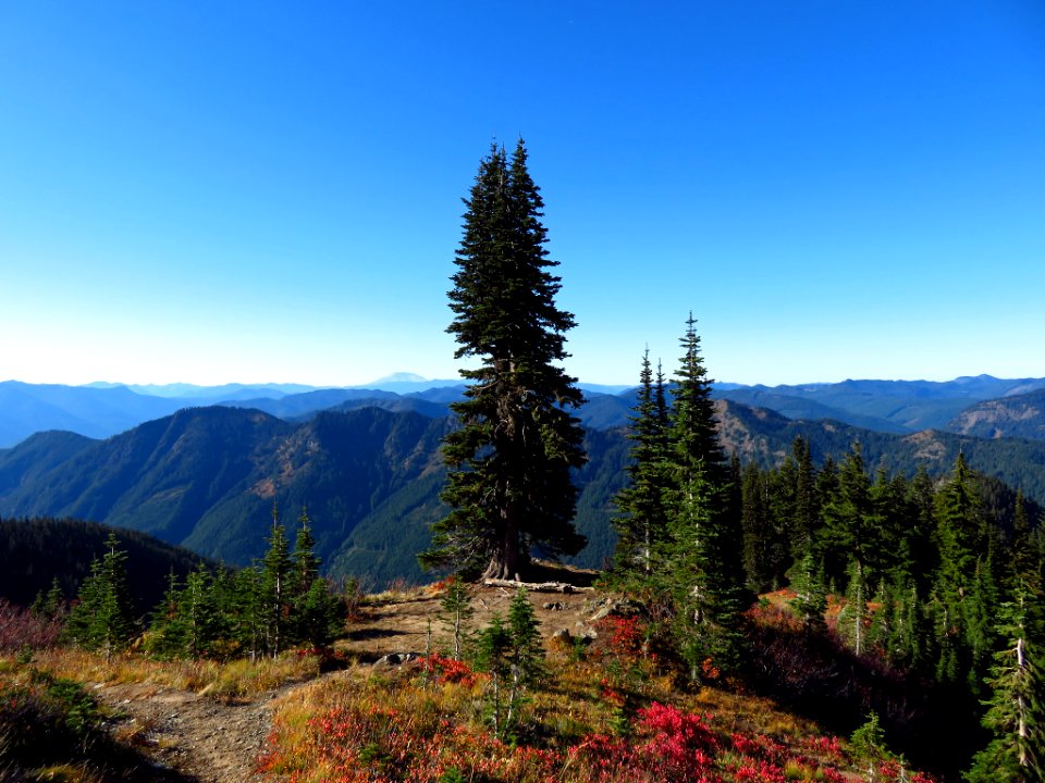 Tatoosh Ridge in WA