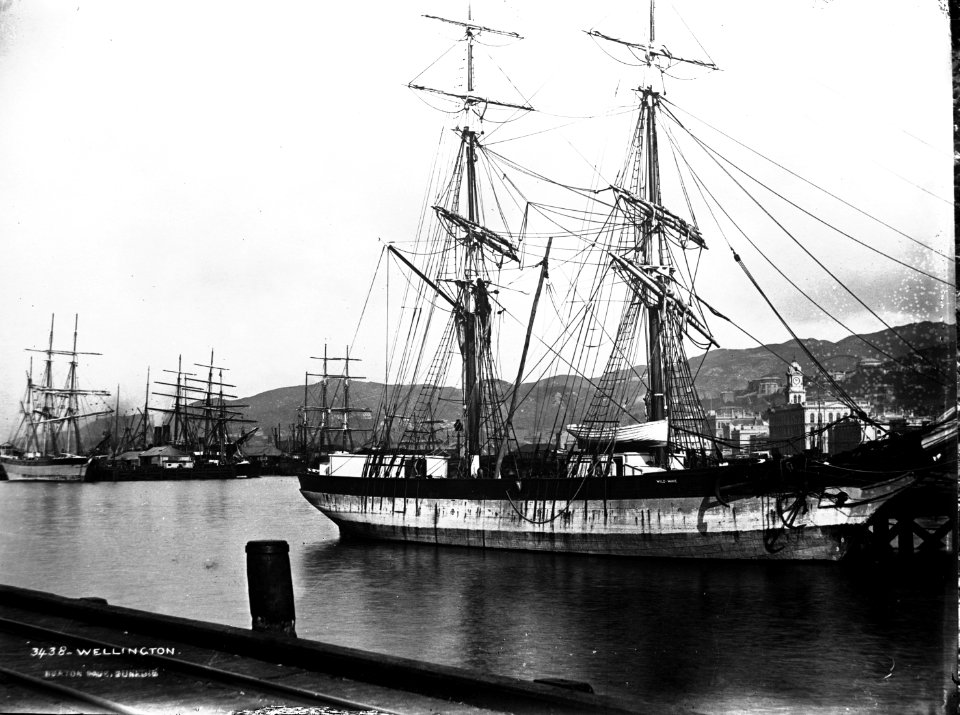 91; Shipping, a number of ships moored at wharves - Circa 1885