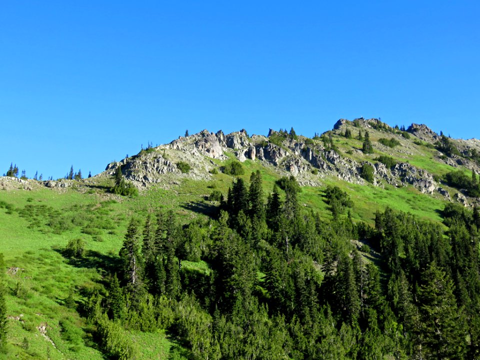 Mt. Rainier NP in WA