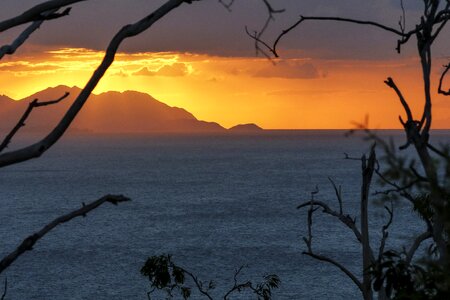 Branches mountains ocean