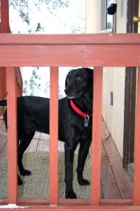 On Guard photo