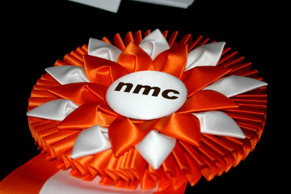 Prize Ribbon from Poster Session