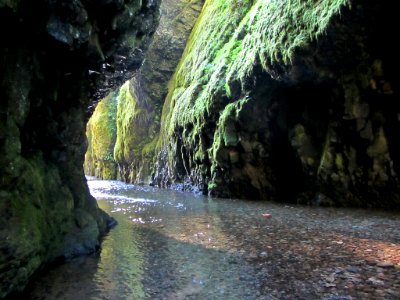 Oneonta Gorge at Columbia River Gorge in OR photo