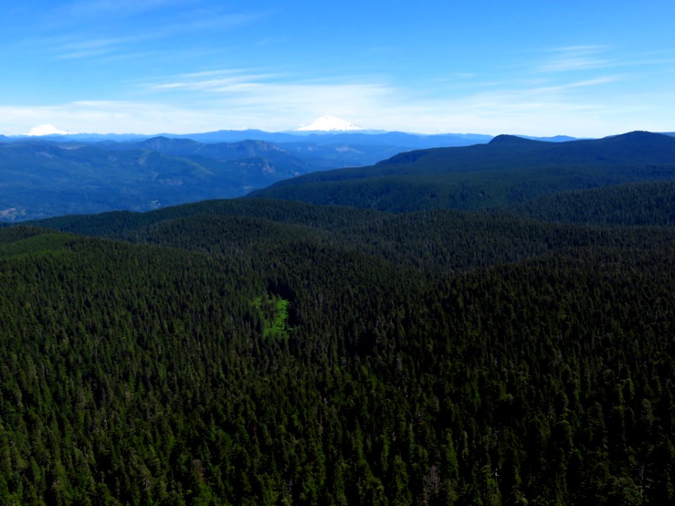 Sherrard Point on Larch Mountain in Oregon