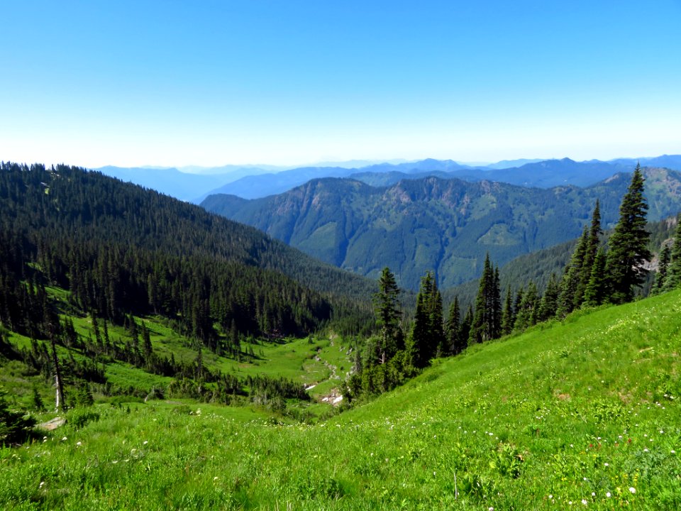 Tatoosh Peak Trail in WA