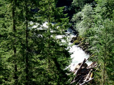 Nooksack River at Mt. Baker-Snoqualmie NF in WA photo
