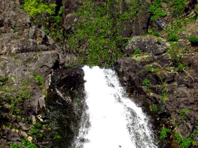 Dog Creek Falls Trail in WA