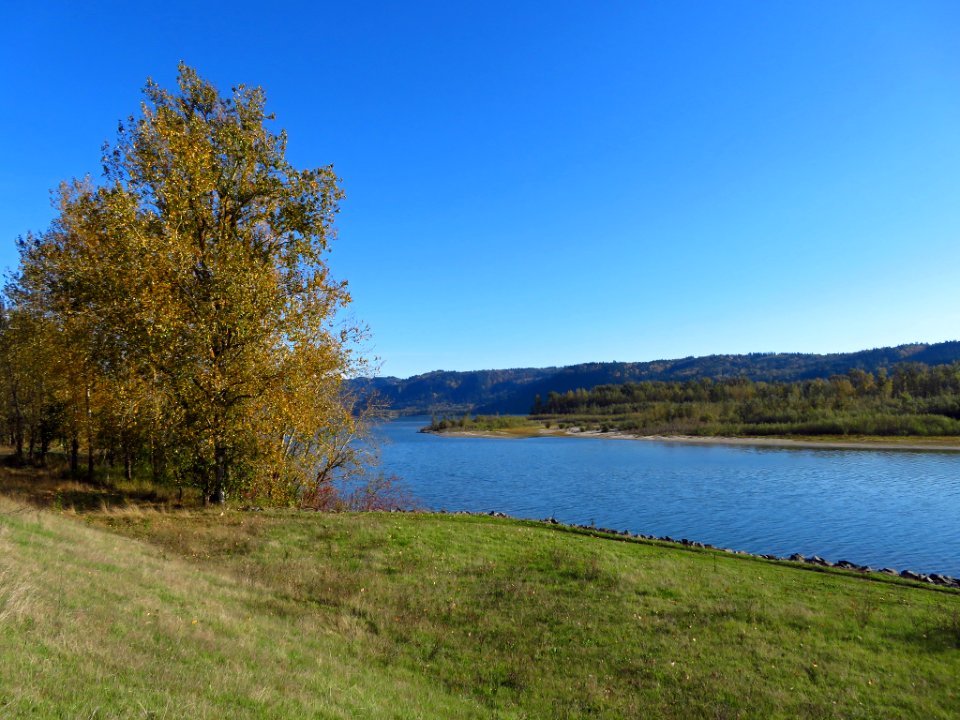 Columbia River at Steigerwald Lake NWR in WA